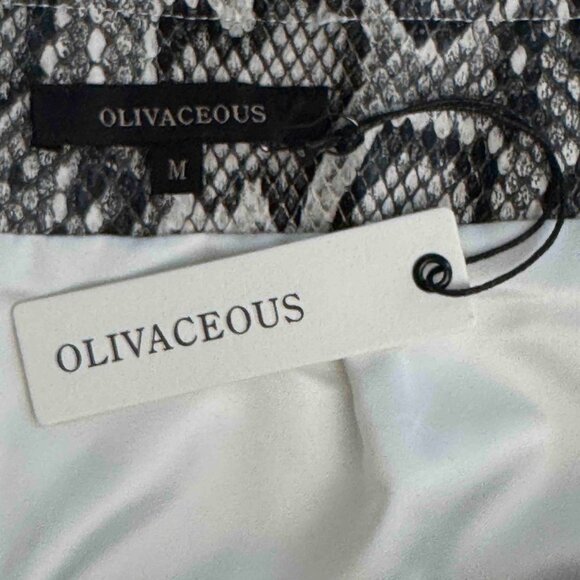NWT OLIVACEOUS VEGAN MINI SKIRT Y2K GRUNGE GOTH PUNK GLAM MEDIUM - Picture 2 of 9